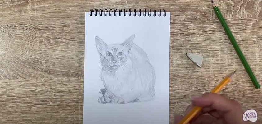 Рисуем Балинезийская кошка