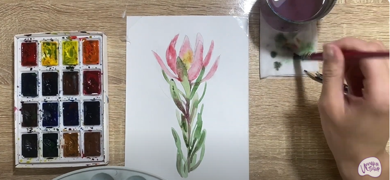 Рисуем Цветок "Леукадендрон"