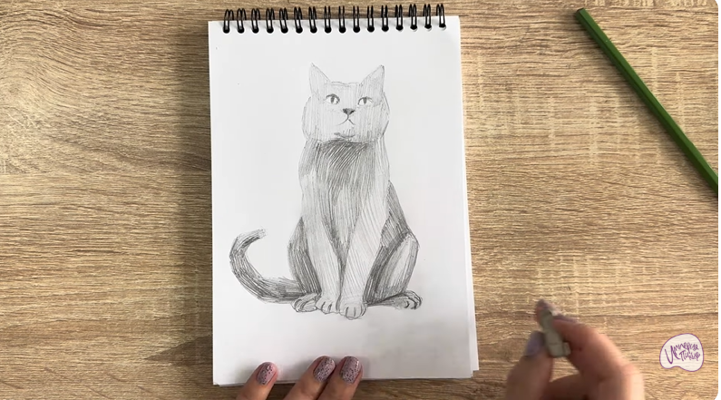 Рисуем Кот породы Шартрез