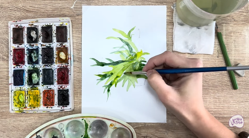 Рисуем Платицериум в горшке