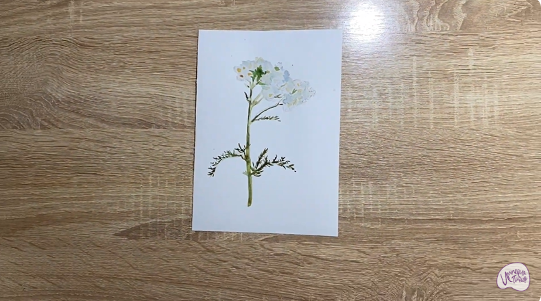 Рисуем Тысячелистник