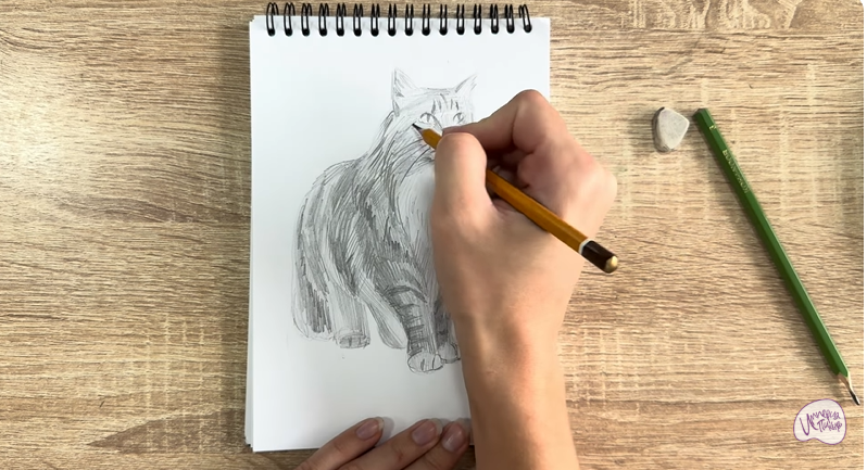 Рисуем Норвежский лесной кот