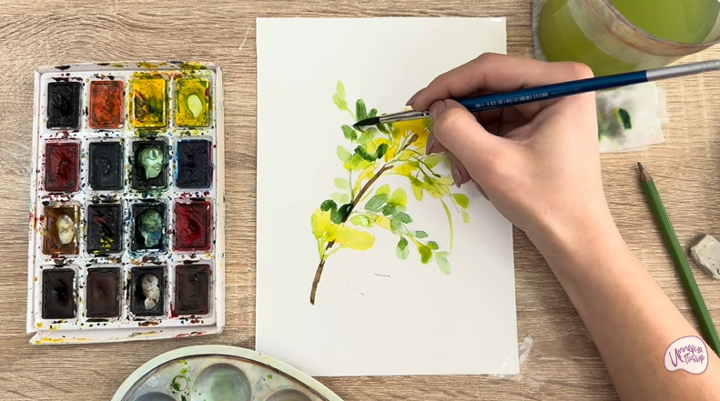 Рисуем Ветка караганы