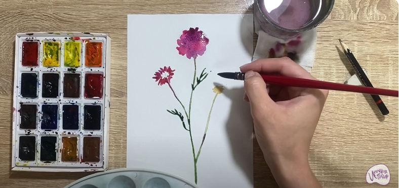 Рисуем Цветок "Скабиоза"