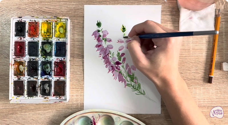 Рисуем Вереск