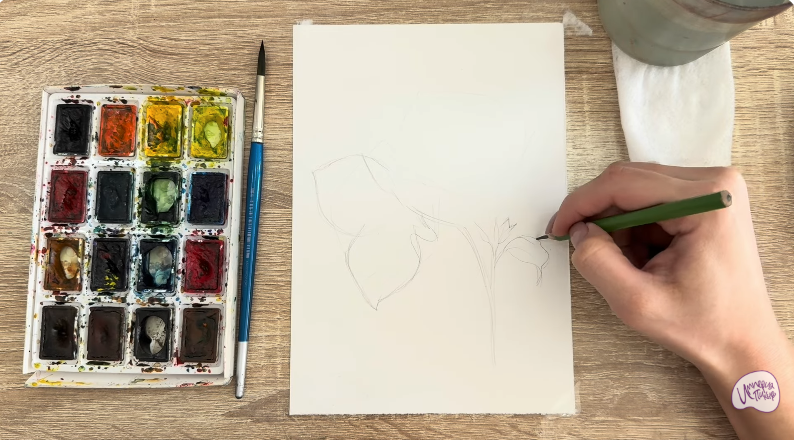 Рисуем Бугенвиллея