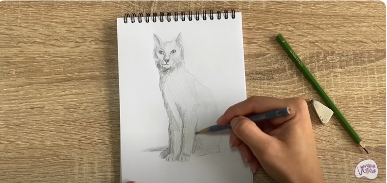 Рисуем Турецкая ангора