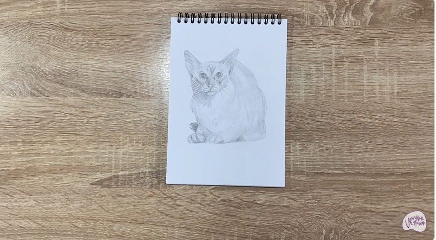 Рисуем Балинезийская кошка