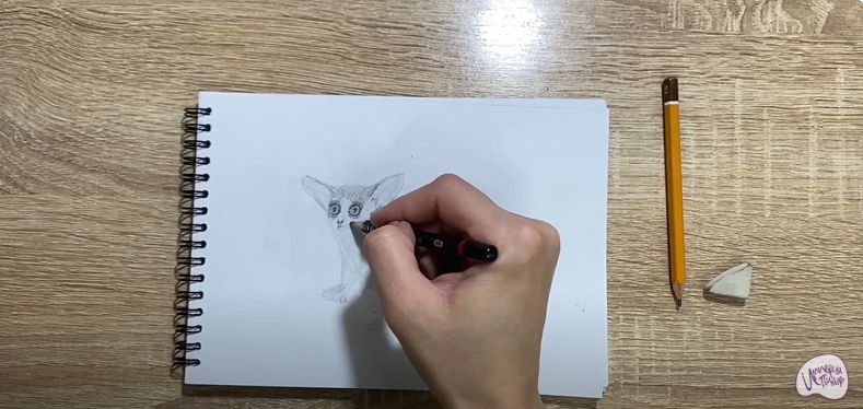 Рисуем Галаго