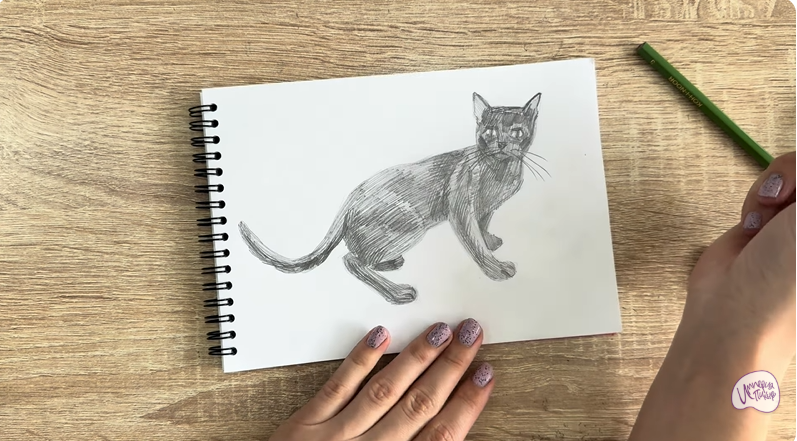 Рисуем Бомбейская кошка