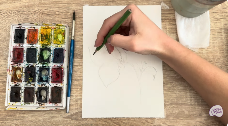 Рисуем Бугенвиллея