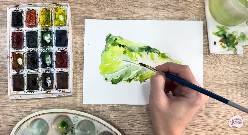 Рисуем Пекинская капуста