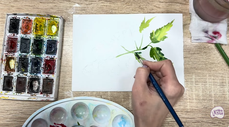 Рисуем Таволга