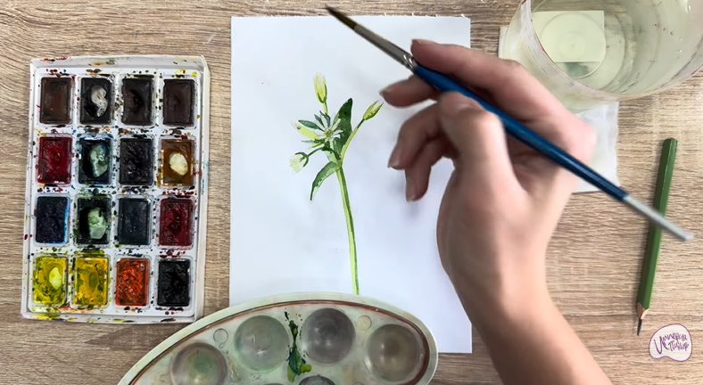 Рисуем Ясколка длинноволосая