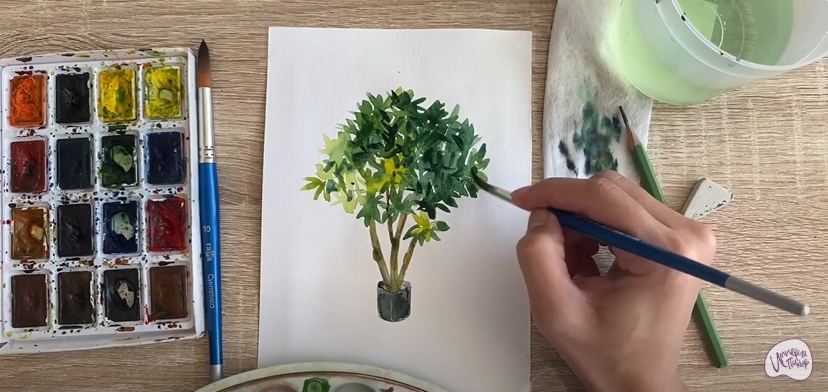 Рисуем Бересклет