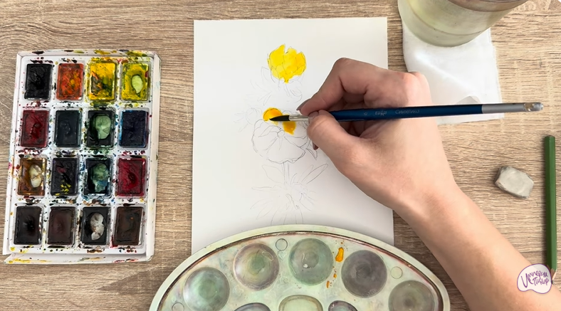 Рисуем Лапчатка