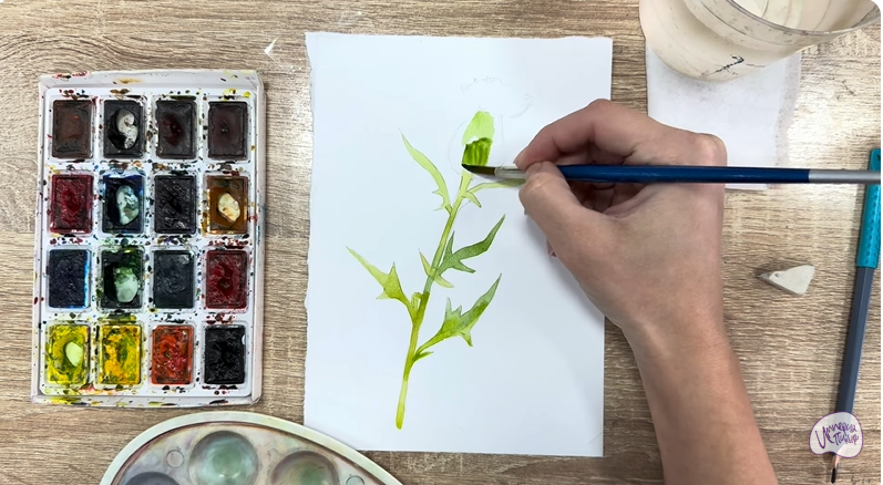 Рисуем Бодяк