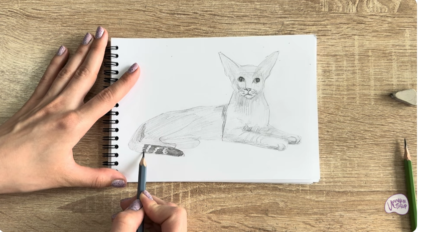 Рисуем Ориентальная кошка