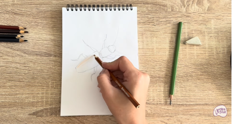 Рисуем Мукоед