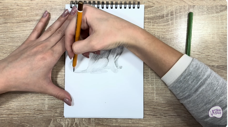 Рисуем Кот породы "Корат"