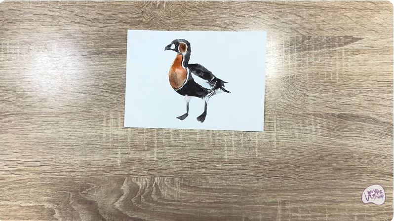 Рисуем Краснозобая казарка