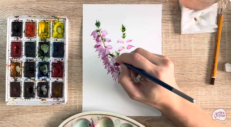 Рисуем Вереск