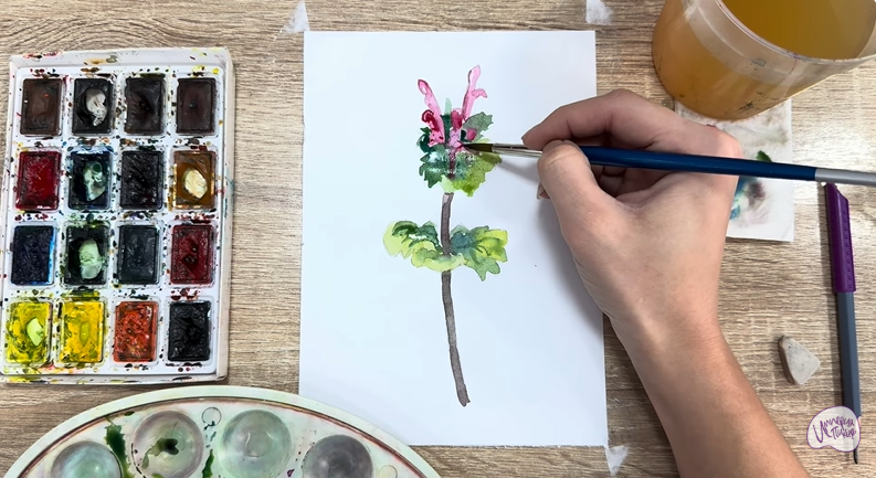 Рисуем Яснотка