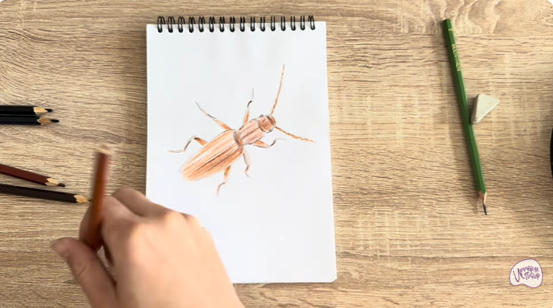 Рисуем Мукоед