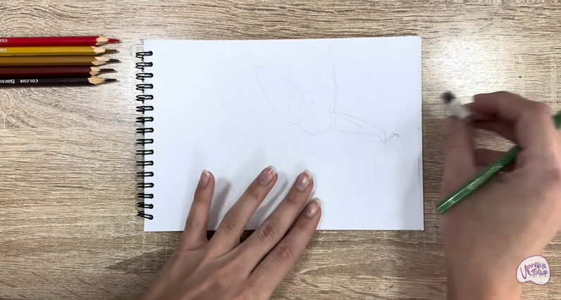 Рисуем Бурый ушан