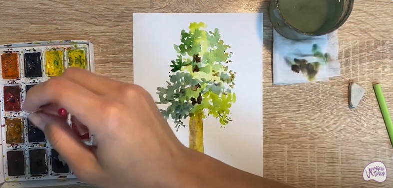 Рисуем Секвойя