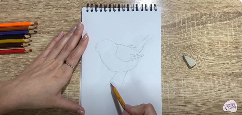 Рисуем Птичка "Зарянка"