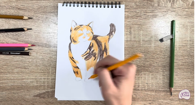 Рисуем Кошка породы "Манчкин"