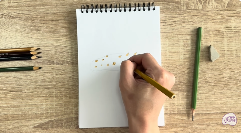 Рисуем Голотурия