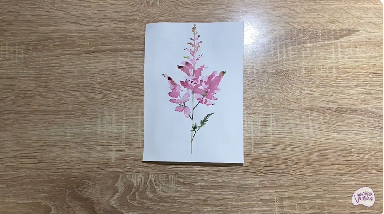 Рисуем Цветок "Астильба"