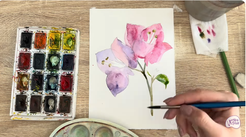 Рисуем Бугенвиллея