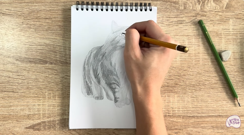 Рисуем Норвежский лесной кот