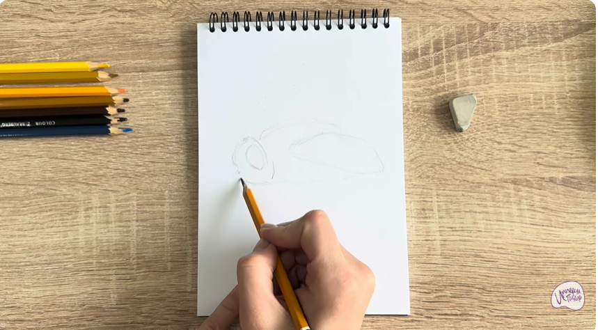 Рисуем Овод