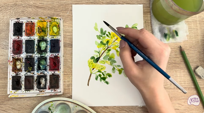 Рисуем Ветка караганы