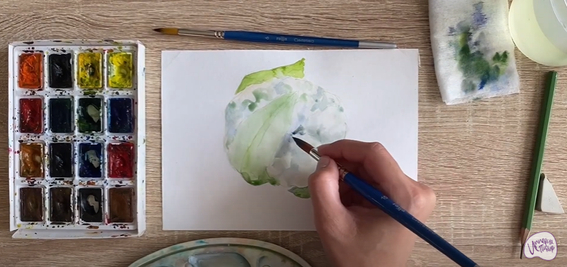 Рисуем Цветная капуста