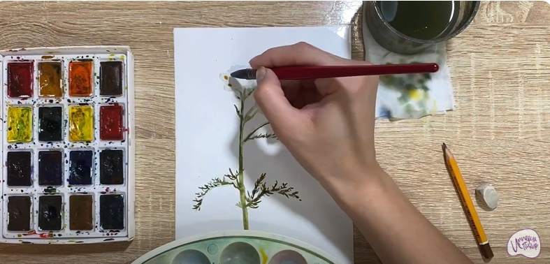 Рисуем Тысячелистник