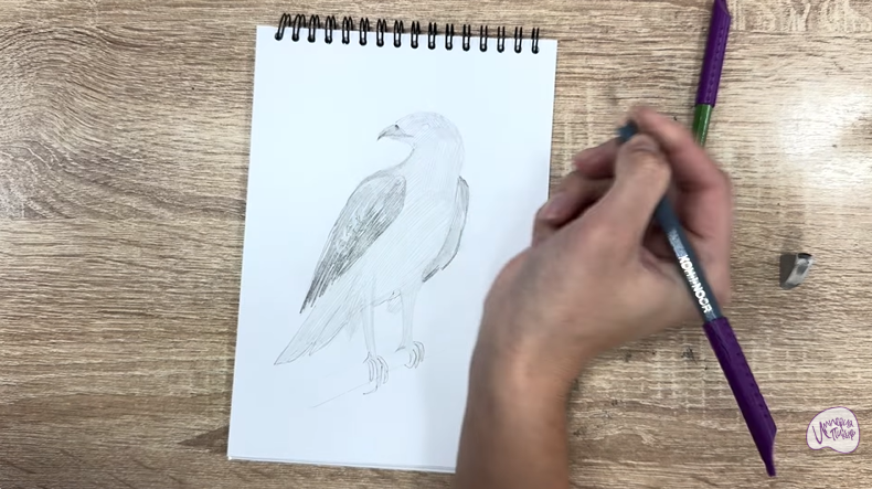 Рисуем Хохлатый осоед