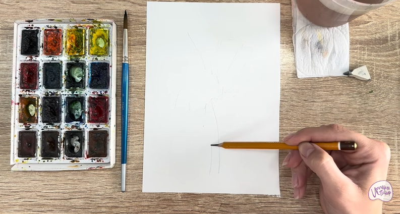 Рисуем Бессмертник