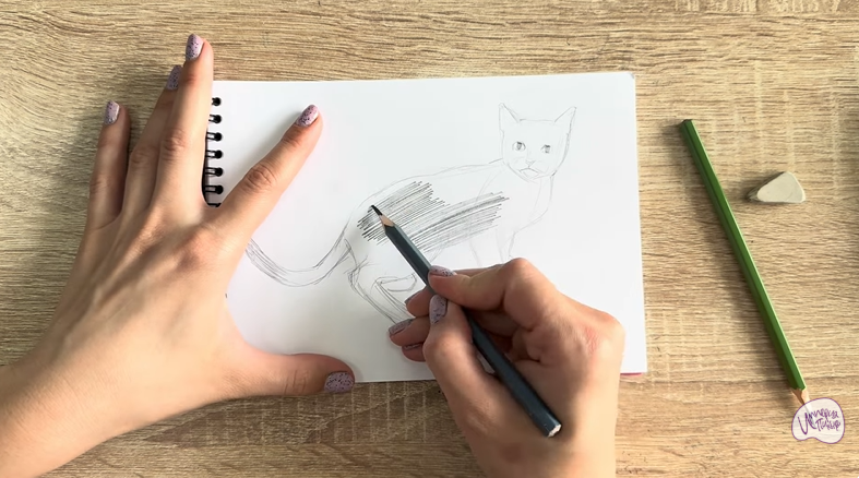 Рисуем Бомбейская кошка