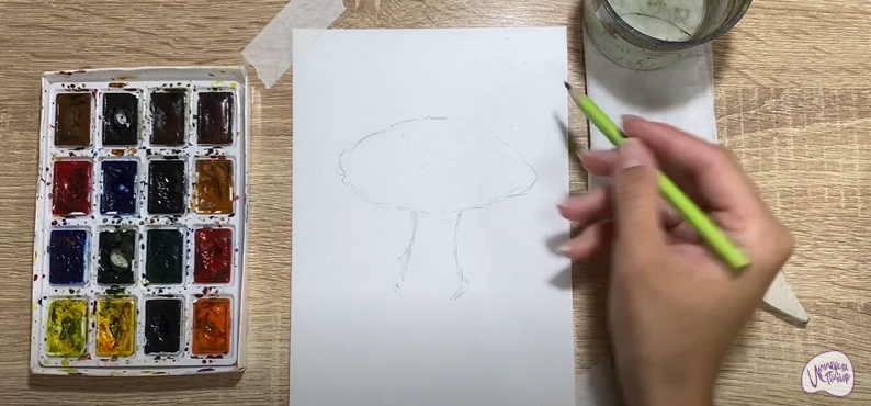 Рисуем Флоккулярия