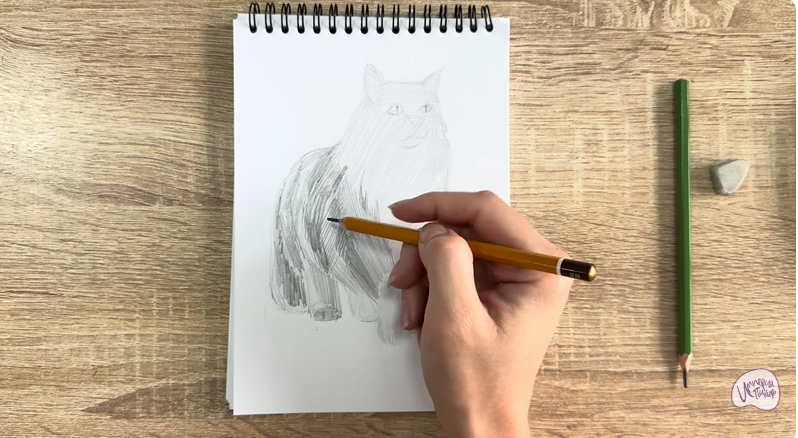 Рисуем Норвежский лесной кот