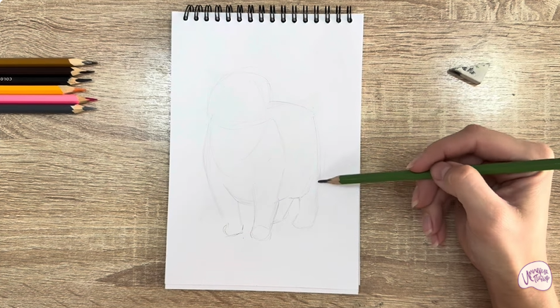 Рисуем Кошка породы "Манчкин"