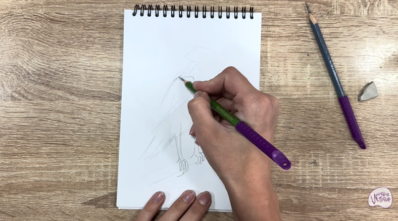 Рисуем Хохлатый осоед