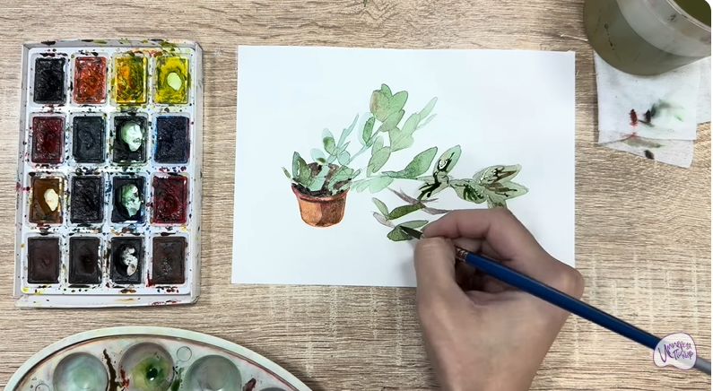 Рисуем Пеллиония в горшке