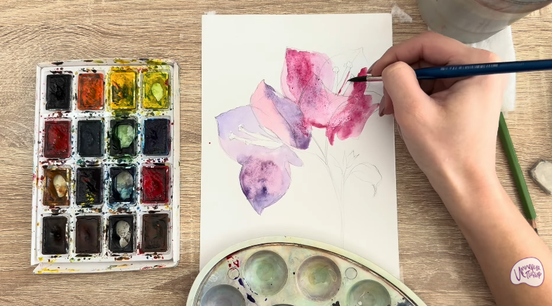 Рисуем Бугенвиллея