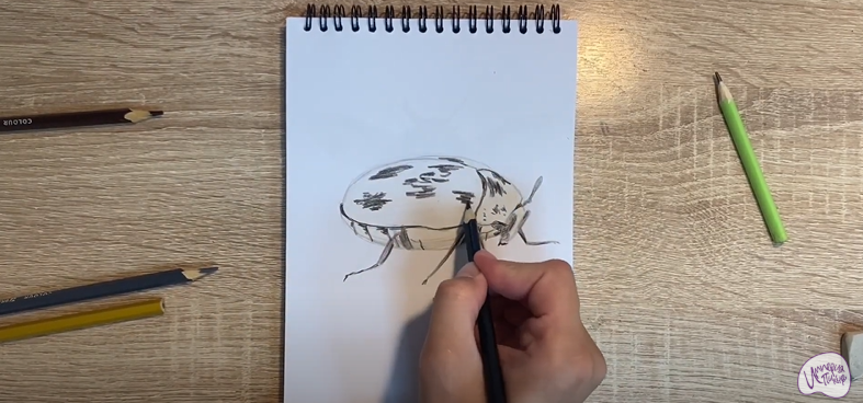 Рисуем Кожеед